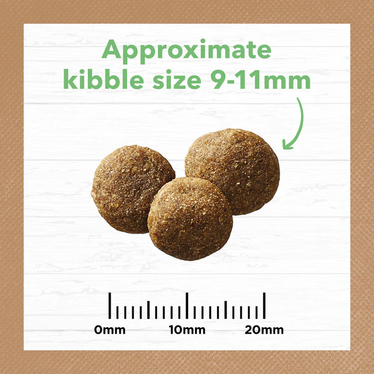 Ivory Coat - Puppy Dry Food - GRAIN FREE - Large Breed - Lamb -2kg