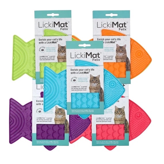 LickiMat - Cat Felix - Green-Turquoise-Orange-Purple