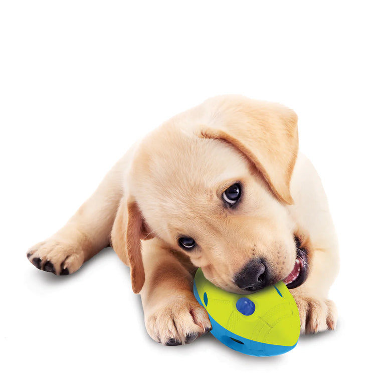NERF DOG - LED Football