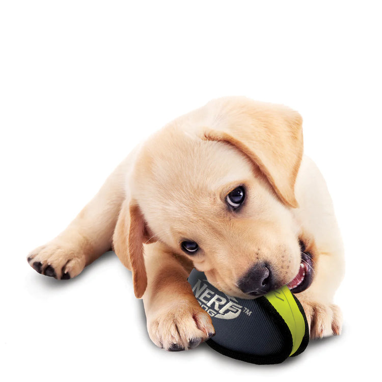 NERF DOG - Rubber/Nylon Plush Football