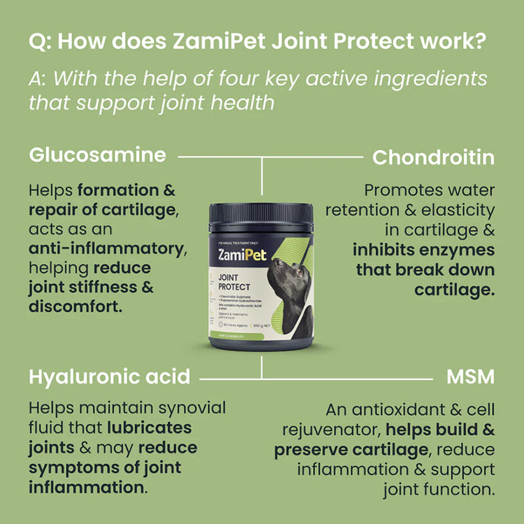 ZamiPet - Joint Protect - 30 Chews/150g