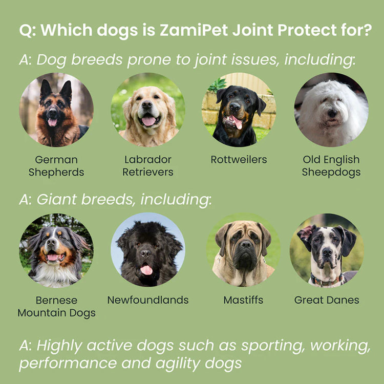 ZamiPet - Joint Protect - 30 Chews/150g