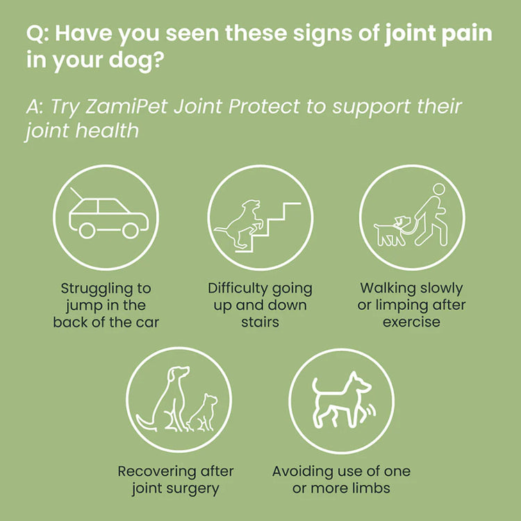 ZamiPet - Joint Protect - 30 Chews/150g