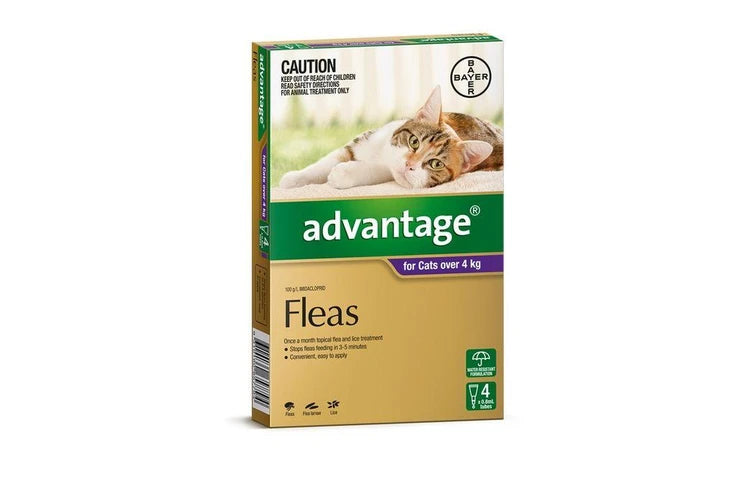 Advantage - Fleas - Cats over 4kg (4 x 0.8ml Tubes)