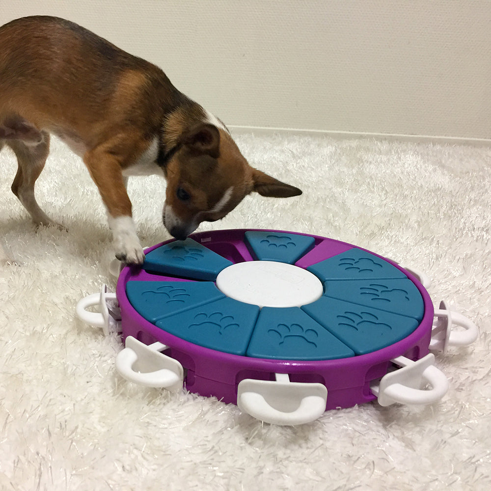 Outward Hound - Nina Ottosson - Dog Twister Puzzle - Purple