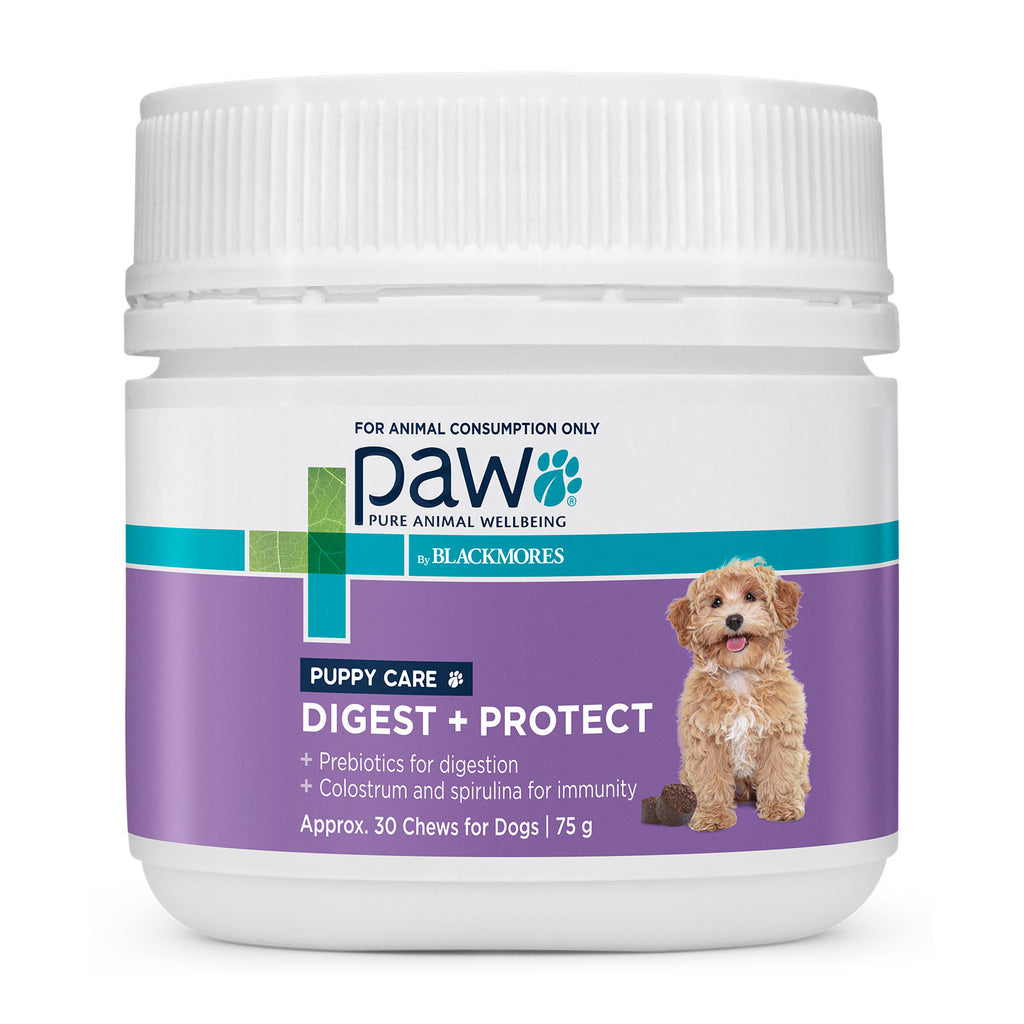 Blackmores: Paw - Digest + Protect - Chews for Puppies - 75g