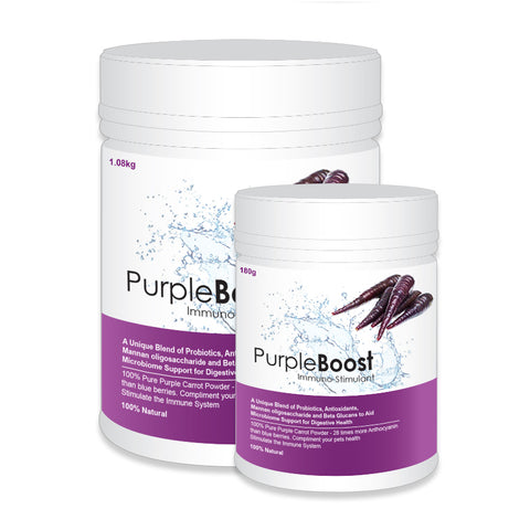 LifeWise - Purple Boost - Immuno-Stimulant  for dogs - 1.08kg-180g