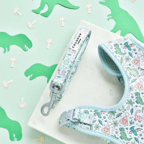 Cocopup London - Dog Lead - DinoPaws