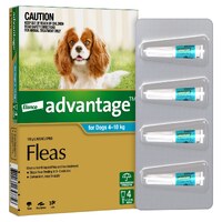 Advantage - Fleas - Dogs 4kg to 10kg (4 x 1.0ml Tubes)