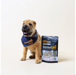 SavourLife - Training Treats - Aussie Lamb for Puppies - 165g