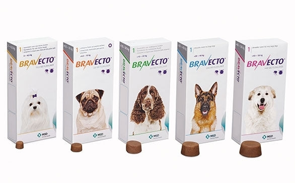 Bravecto Flea & Tick Control Chew - Blue Pack for Large Dogs 20-40kg - Single Chew