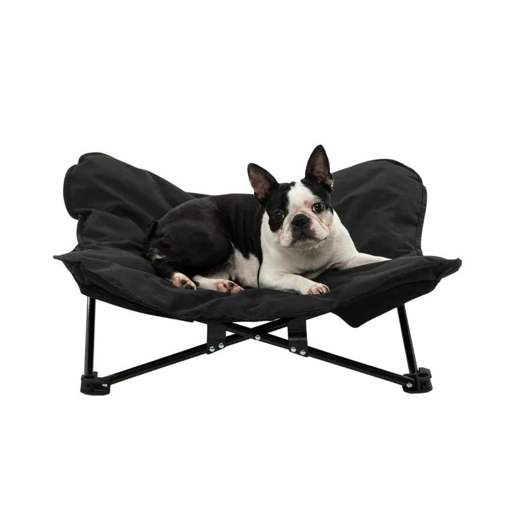 Charlie's - Foldable Outdoor Camping Pet Bed - Black - Medium