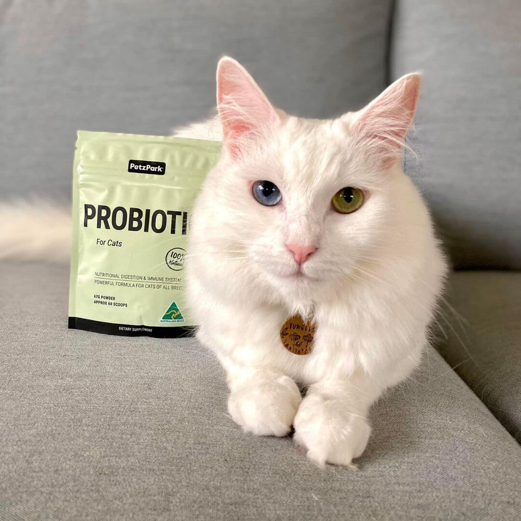 PetzPark - Probiotic - For Cats - 60g Powder