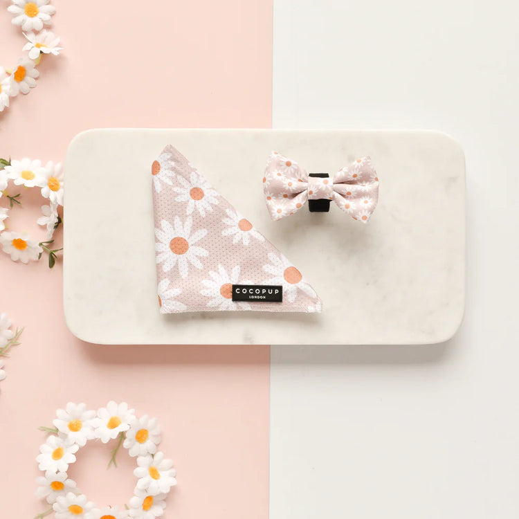 Cocopup London - Bow Tie - Daisy Chain