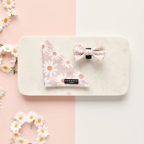 Cocopup London - Bow Tie - Daisy Chain