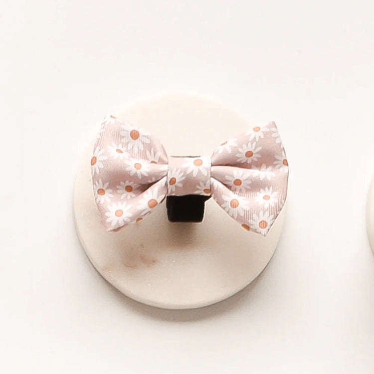 Cocopup London - Bow Tie - Daisy Chain