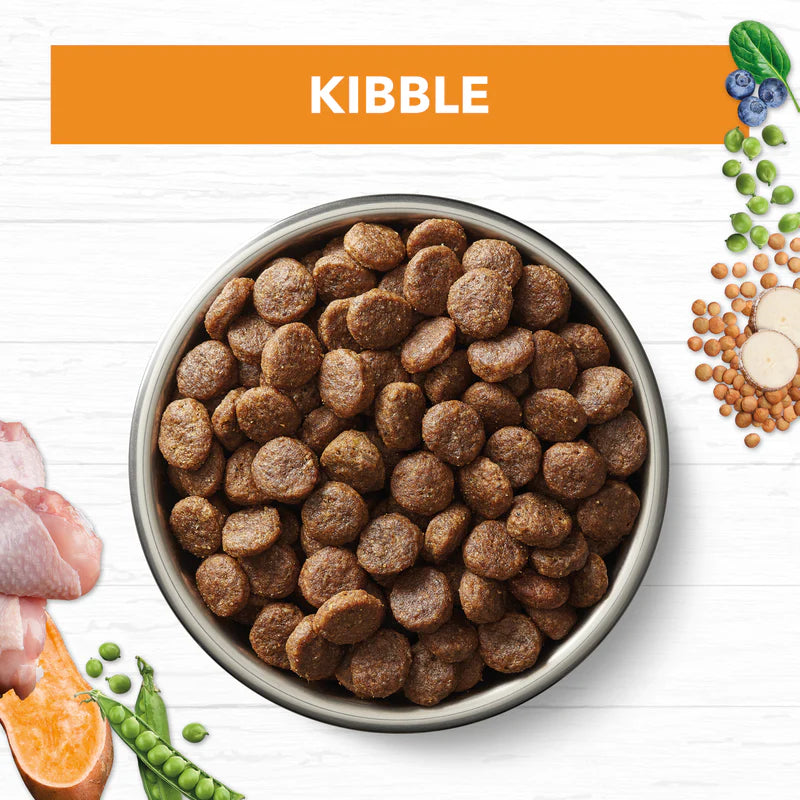 Ivory Coat - Adult Dog Dry Food - GRAIN FREE - Chicken - 2kg
