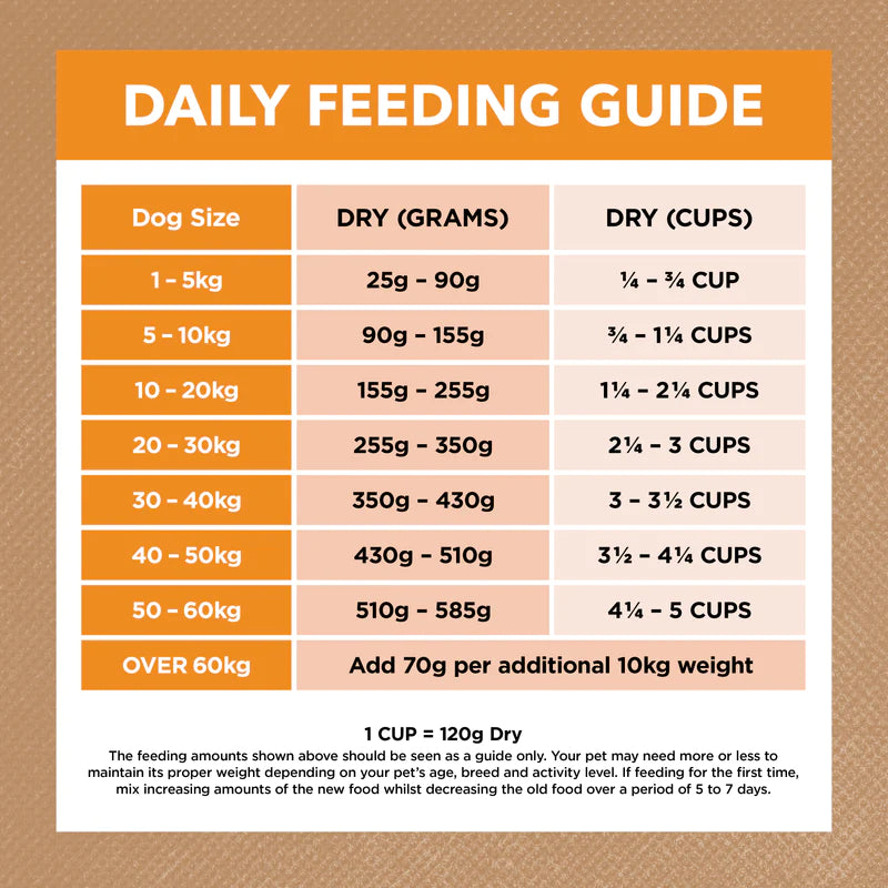 Ivory Coat - Adult Dog Dry Food - GRAIN FREE - Chicken - 2kg