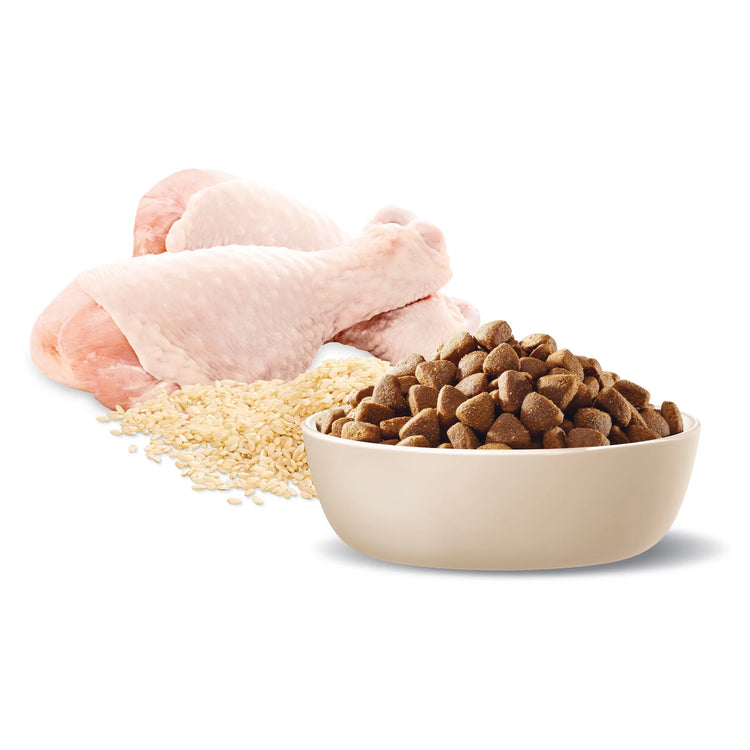 Advance - Adult Dog - Large Breed - Chicken -15kg