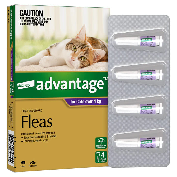 Advantage - Fleas - Cats over 4kg (6 x 0.8ml Tubes)