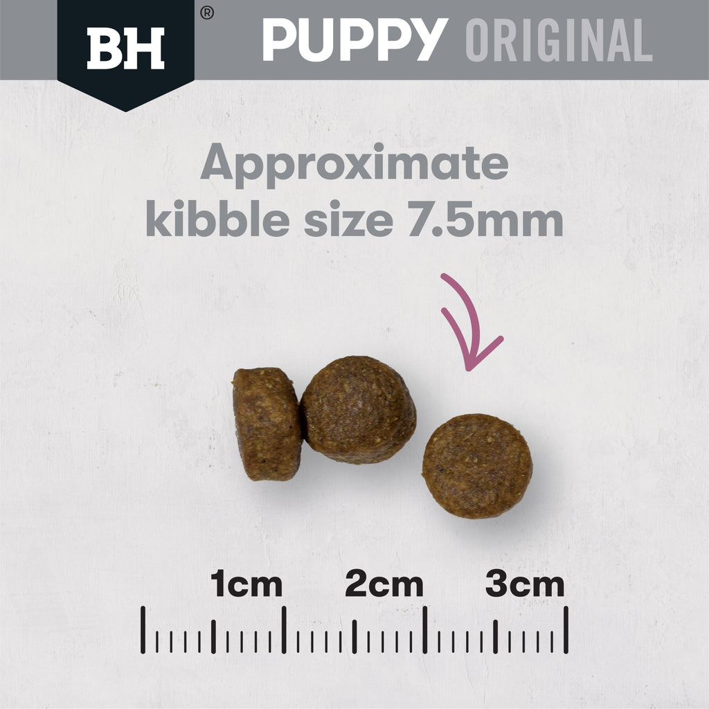Black Hawk - Puppy - Small Breed - Lamb & Rice - 10kg-3kg