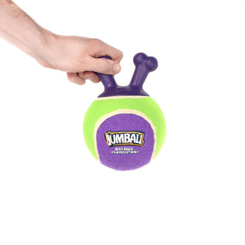 GiGwi - Jumball - Tennis Ball - Green/Purple