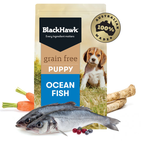 Black Hawk - Puppy - GRAIN FREE - Ocean Fish - 15kg-7kg-3kg