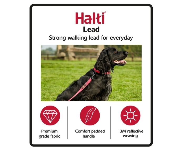 Company of Animals - Halti - Black Lead - Large