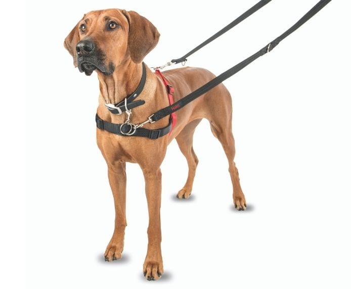 Company of Animals - Halti - Front Control Harness - Red/Black - Large-Medium-Small