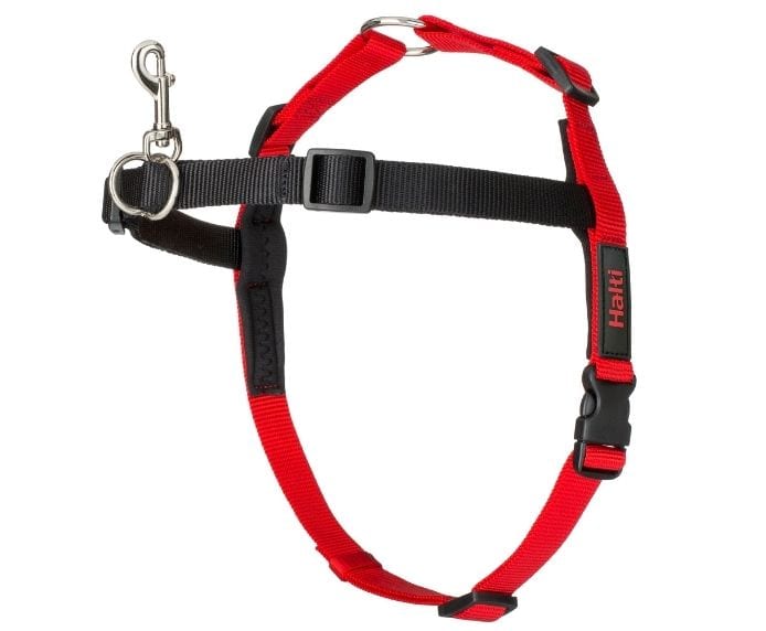 Company of Animals - Halti - Front Control Harness - Red/Black - Large-Medium-Small