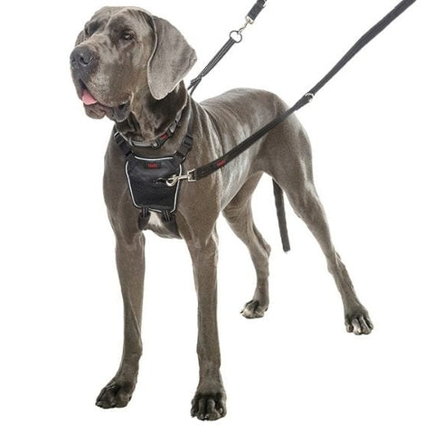 Company of Animals - Halti - No Pull Harness - Large-Medium-Small