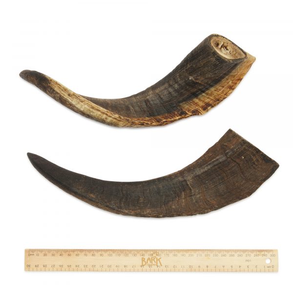 Bark & Beyond - Goat Horn - Large-Medium-Small