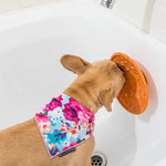 LickiMat - Splash for dogs - Green-Orange-Turquoise
