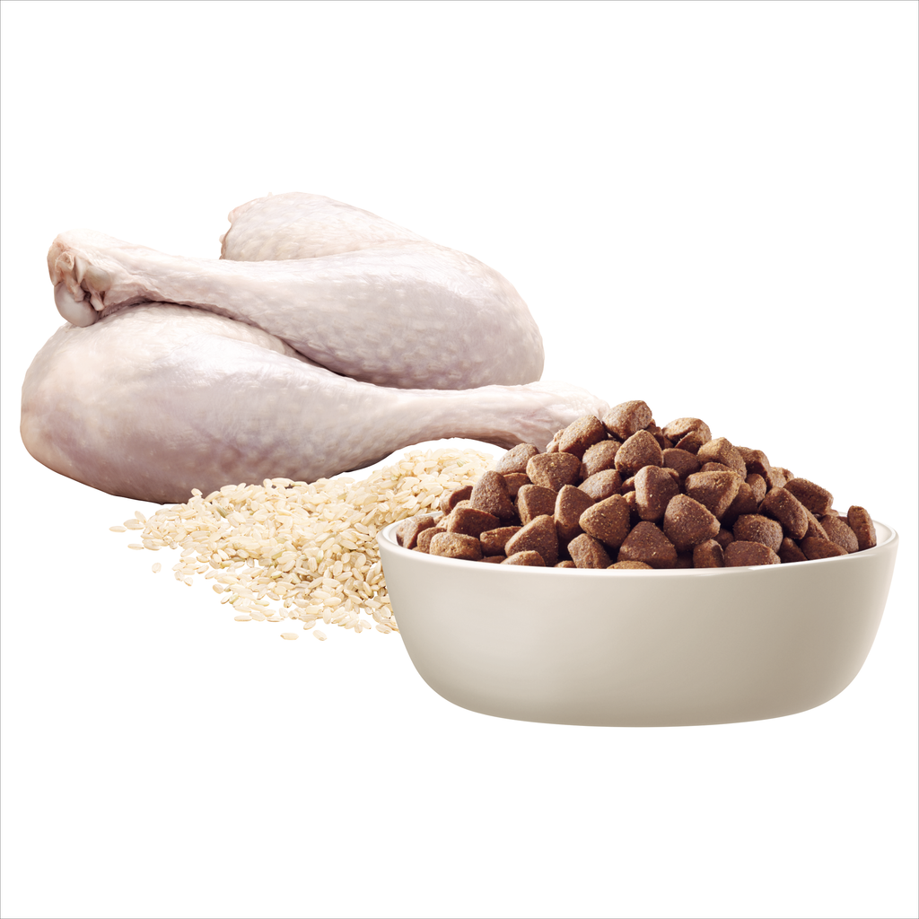 Advance - Adult Dog - Small Oodles - Turkey with Rice - 2.5kg