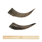 Bark & Beyond - Goat Horn - Large-Medium-Small