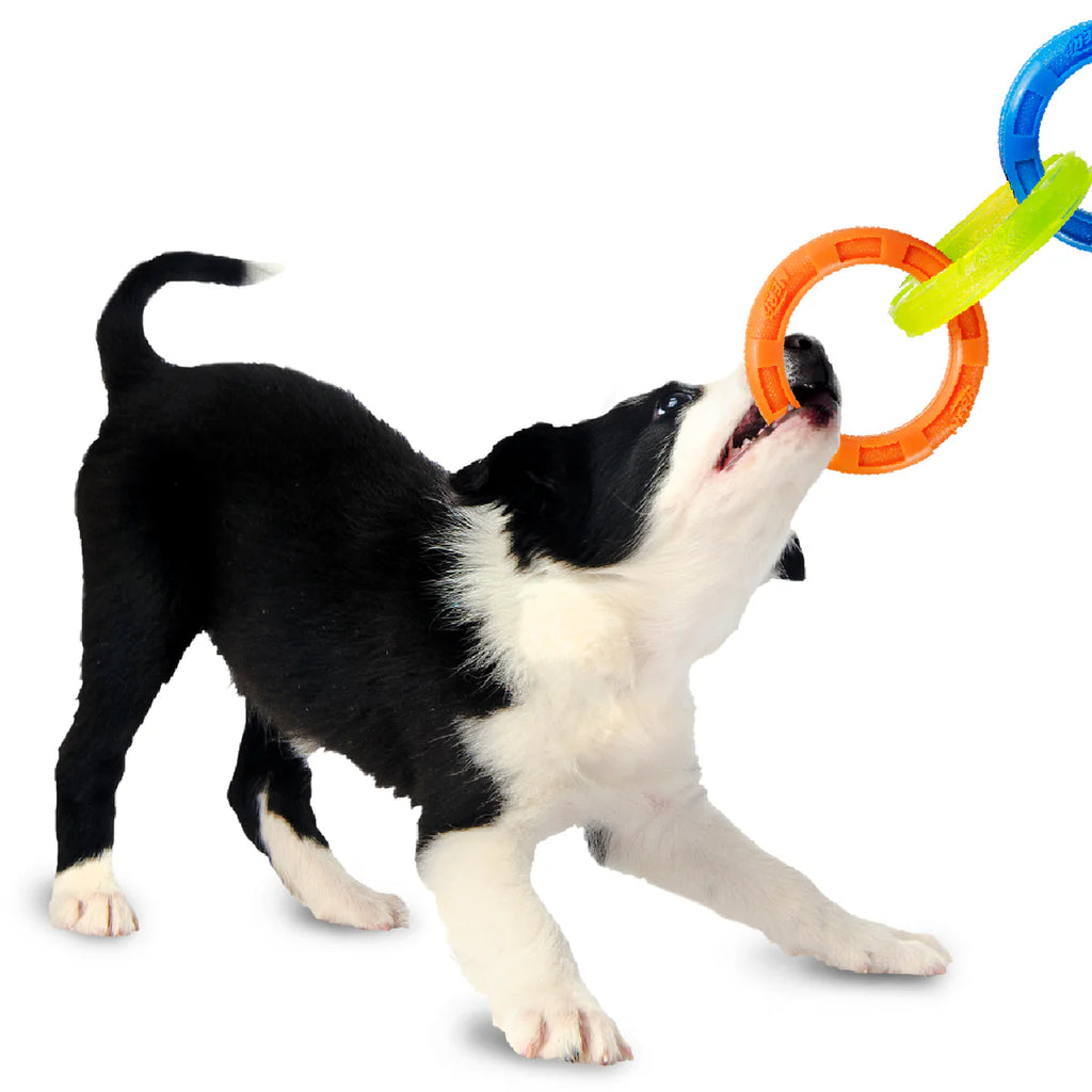 NERF DOG - 3 Ring Tug