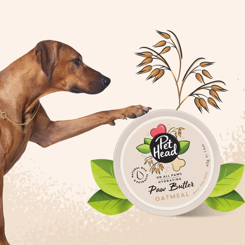 Pet Head - On All Paws - Oatmeal Paw Butter - 60ml