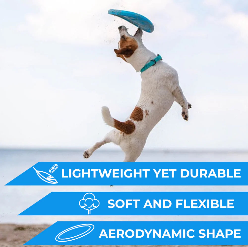 PitchDog - Flying Disk - Blue-Pink