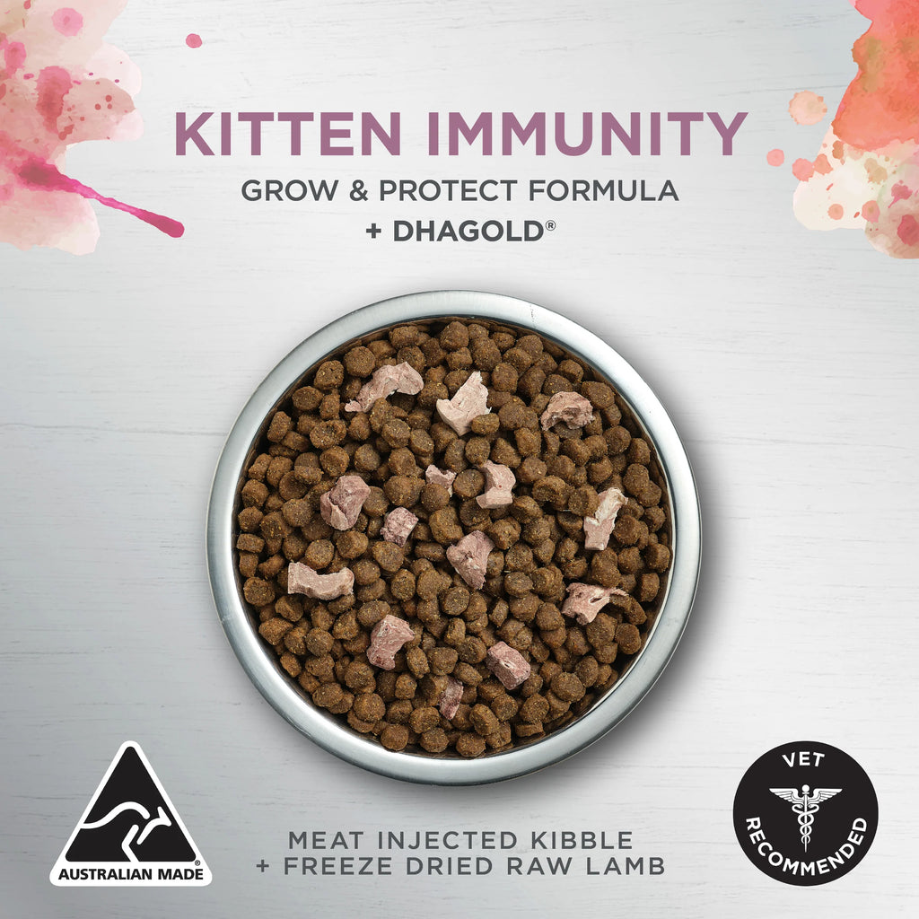 Ivory Coat - Kitten - Raw Health - Kitten Immunity - 4kg - 2kg