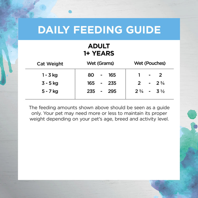 vory Coat - Adult Cat - Wet Food Trays - Inspired By Raw - Gut & Digestion - 12 x 85g