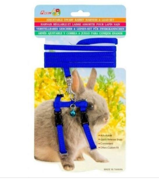 Percell - Rabbit Harness - Black-Blue