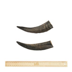 Bark & Beyond - Goat Horn - Large-Medium-Small