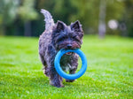 PitchDog - Fetch Ring - Blue - 30cm-20cm