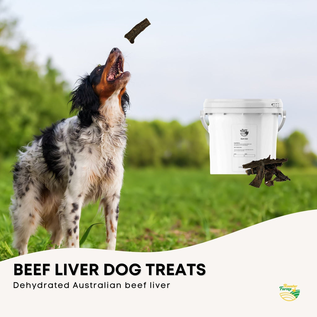  Rooster farm 1Kg Dog Treat Beef Liver Pieces Bucket - Dehydrated Australian Healthy Puppy Chew