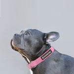 Natural Hemp & Cotton Dog Collar (Pretty Pink) LARGE-Medium-Small-XSmall