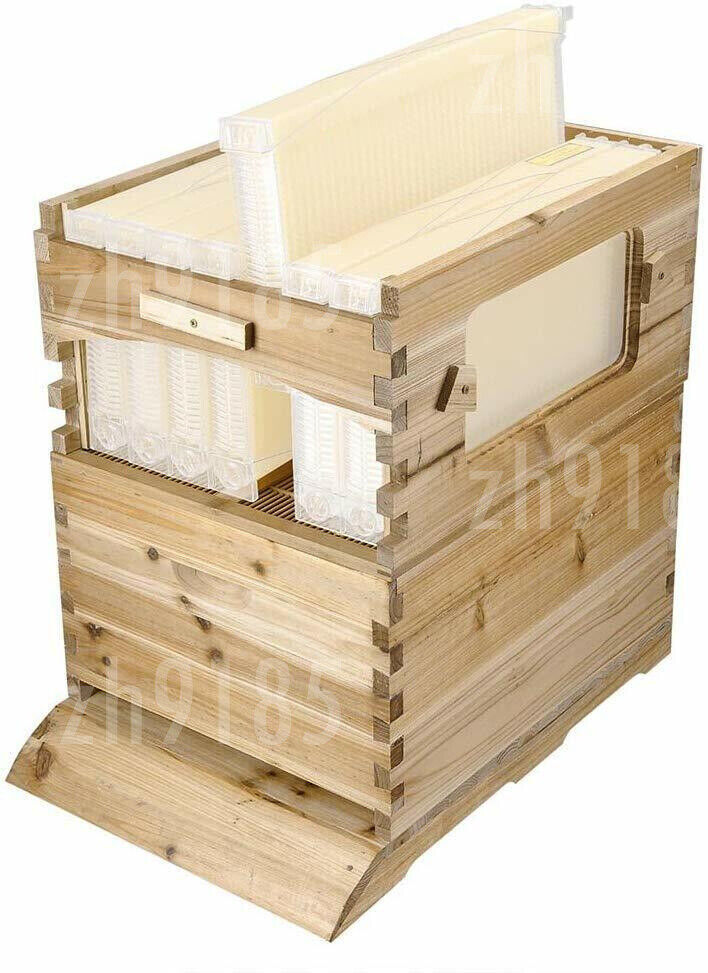 Wooden-Beekeeping-Beehive-House-+7PCS-Upgraded-Auto-Honey-Bee-comb-Hive-Frame