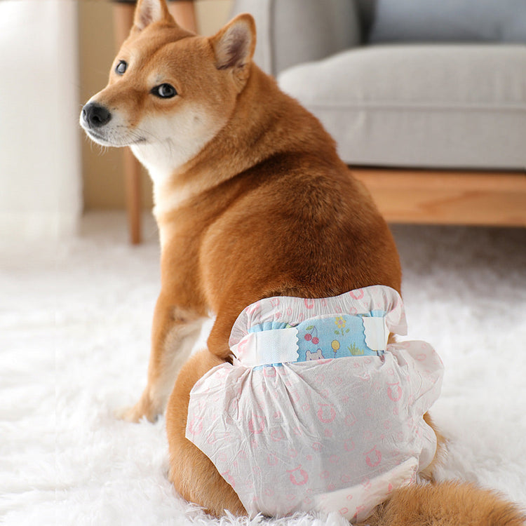 Ondoing Pet Disposable Diapers Dog Puppy Nappy Hygienic Female Wraps Toilet Trainer Xl-L-M-S-XS