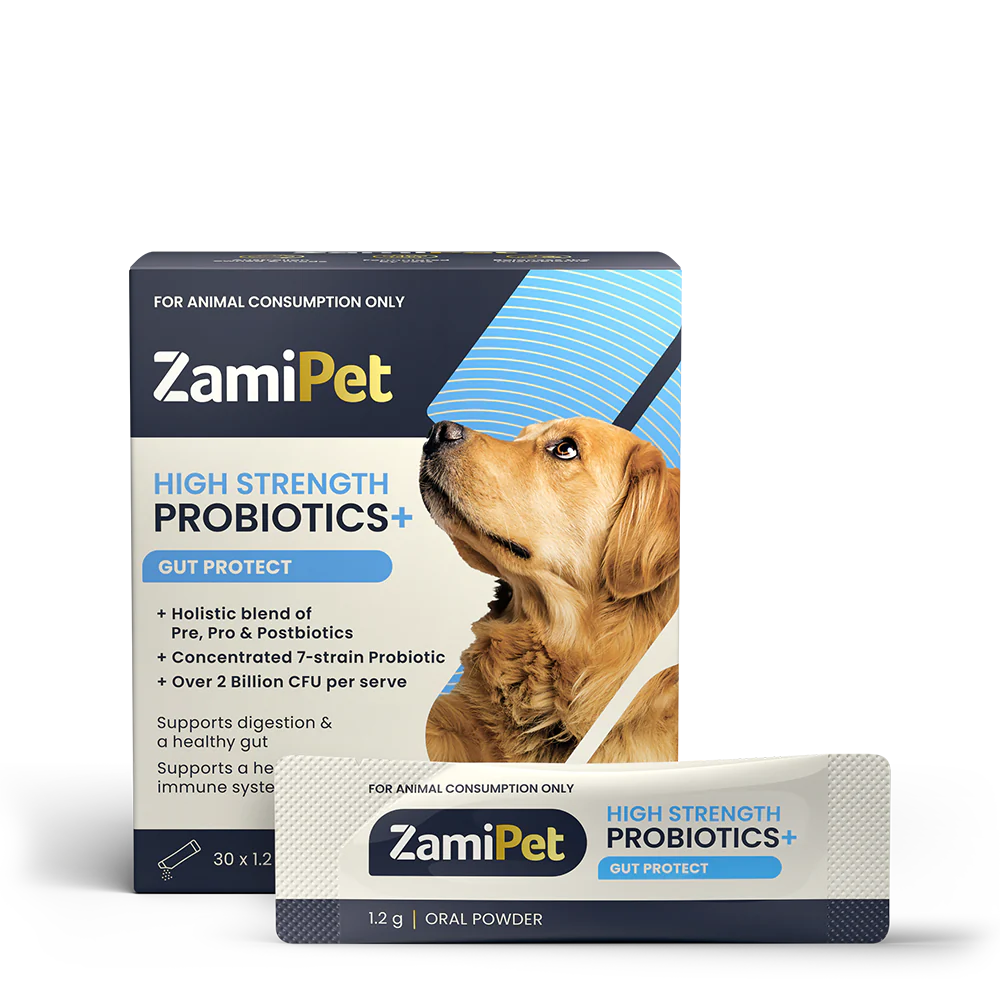 ZamiPet - High Strength Probiotics+ Gut Protect - 30 x 1.2g Oral Powder