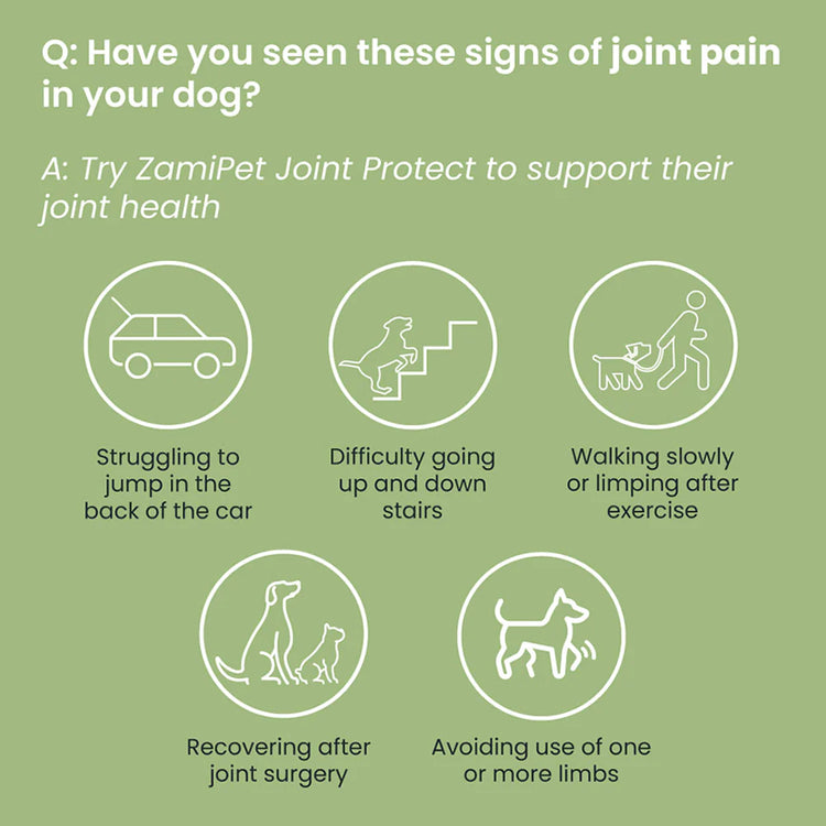 ZamiPet - Joint Protect - 60 Chews/300g