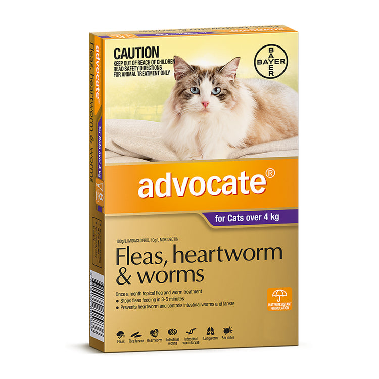 Bayer - Advocate - Flea & Worm Control - Cats over 4kg - 6 x 0.8ml